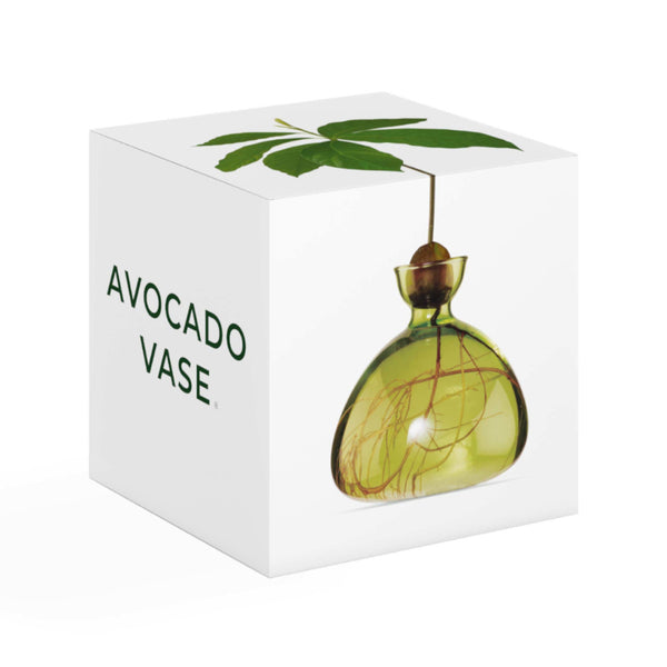 Avocado-Vase - Grasgrün - Bild 2