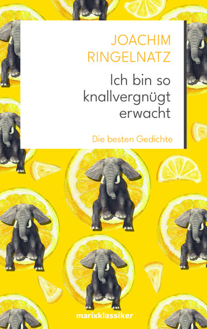 Ich bin so knallvergnügt erwacht - Bild 1