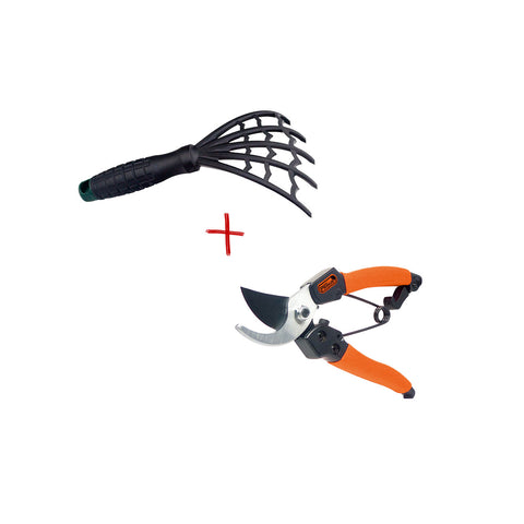 Damenschere und Beetkralle