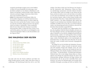 Wir sind Geschöpfe des Waldes - Bild 6