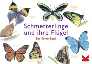 Schmetterlinge und ihre Flügel - Bild 1