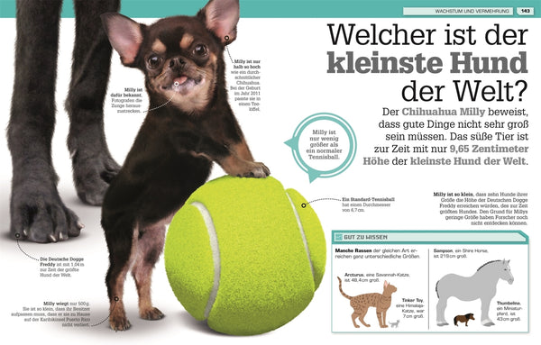 Total verrückte Tiere - Bild 7