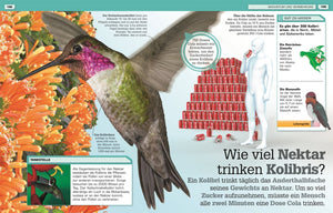 Total verrückte Tiere - Bild 8