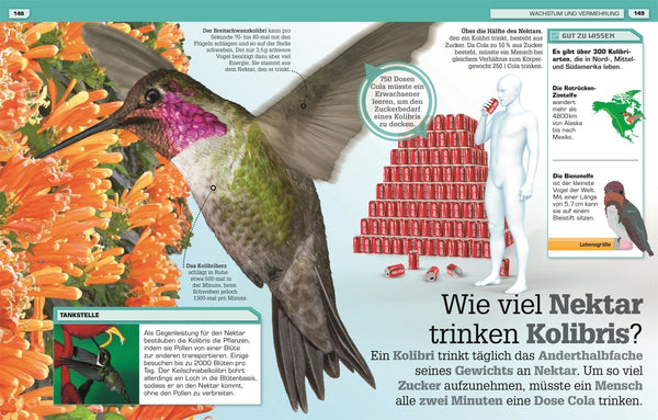 Total verrückte Tiere - Bild 8