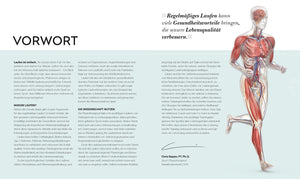 Lauftraining - Die Anatomie verstehen - Bild 3