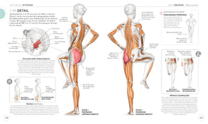 Lauftraining - Die Anatomie verstehen - Bild 8