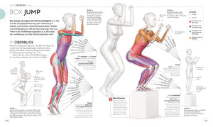 Lauftraining - Die Anatomie verstehen - Bild 9