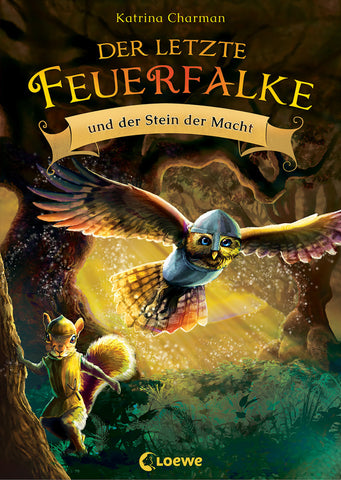 Der letzte Feuerfalke und der Stein der Macht (Band 1) - Bild 1