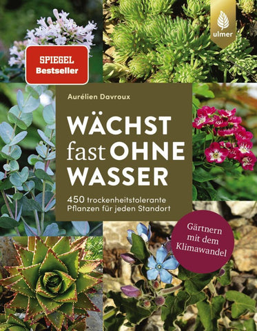 Wächst fast ohne Wasser - Bild 1