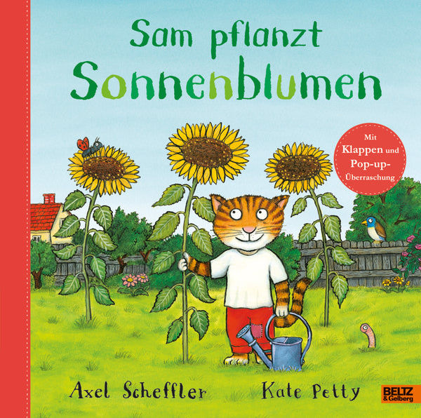 Sam pflanzt Sonnenblumen - Bild 1