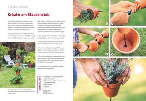 Garten-Projekte für Selbermacher - Bild 3