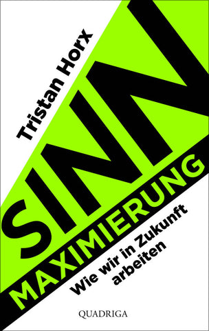 Sinnmaximierung - Bild 1