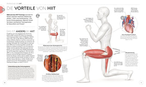 HIIT - Die Anatomie verstehen - Bild 4