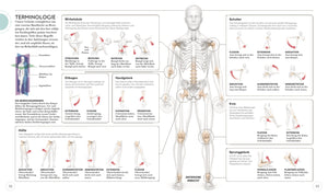 HIIT - Die Anatomie verstehen - Bild 5