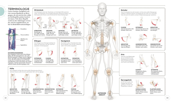 HIIT - Die Anatomie verstehen - Bild 5