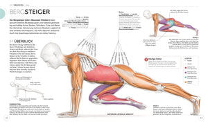 HIIT - Die Anatomie verstehen - Bild 6