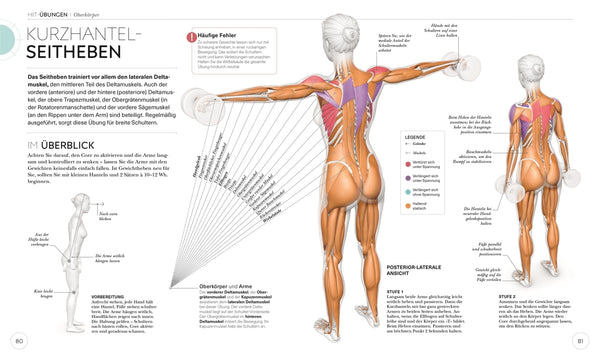 HIIT - Die Anatomie verstehen - Bild 7