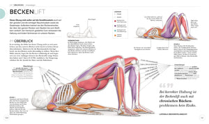 HIIT - Die Anatomie verstehen - Bild 8