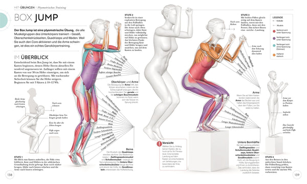 HIIT - Die Anatomie verstehen - Bild 9