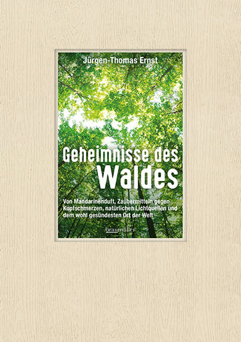 Geheimnisse des Waldes - Bild 1