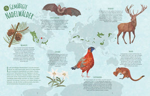 Biome der Welt - Bild 2