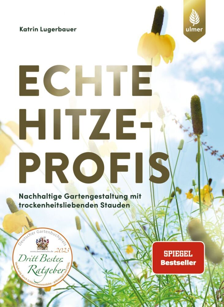 Echte Hitzeprofis - Bild 1