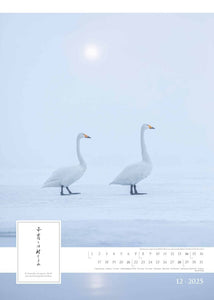 Alpha Edition - Spirit of Japan 2025 Bildkalender XXL, 50x70cm, Kalender mit japanischen Kalligrafien, großflächige Aufnahmen für jeden Monat, Monatsübersicht und internationales Kalendarium - Bild 14