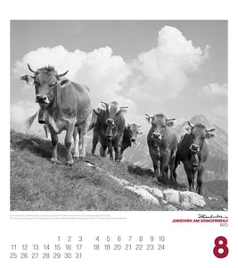 Alpengeschichten Kalender 2025 - Bild 9