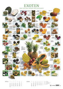 DUMONT - Food 2025 Posterkalender, 50x70cm, Bildkalender mit kurzen Beschreibungen zu den Obst- und Gemüsesorten, sechs dekorative Food-Poster - Bild 4