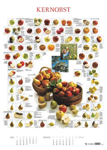 DUMONT - Food 2025 Posterkalender, 50x70cm, Bildkalender mit kurzen Beschreibungen zu den Obst- und Gemüsesorten, sechs dekorative Food-Poster - Bild 6