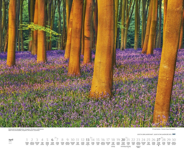 DUMONT - Licht in der Landschaft 2025 Wandkalender, 60x50cm, Fotokunst-Kalender mit beeindruckenden Landschaftsbildern, Kalender mit Bildern aus aller Welt, mit Spiralbindung - Bild 6