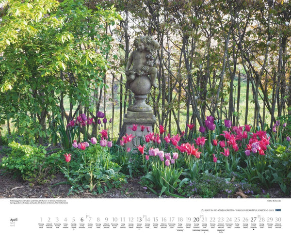 DUMONT - Zu Gast in schönen Gärten 2025 Wandkalender, 52x42,5cm, Garten-Kalender mit Einblicken in die schönsten Gärten, Kalender mit Aufnahmen von Elke Borkowski - Bild 6