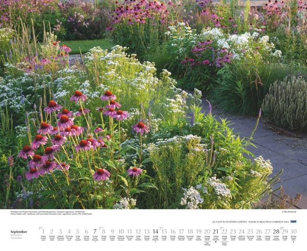 DUMONT - Zu Gast in schönen Gärten 2025 Wandkalender, 52x42,5cm, Garten-Kalender mit Einblicken in die schönsten Gärten, Kalender mit Aufnahmen von Elke Borkowski - Bild 11