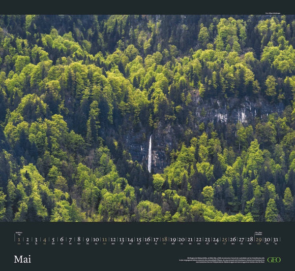 GEO - Sehnsucht Wald Wandkalender 2025 - Eindrucksvoller Waldlandschaften Kalender, Harmonisches Format 60x55 cm, mit Faszinierenden Wald- und Naturbildern - Bild 6