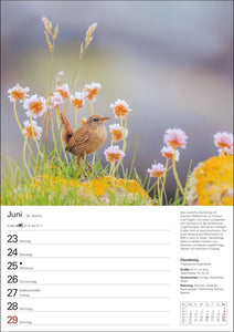 Heimische Vögel Wochenplaner 2025 - 53 Blatt mit Wochenchronik - Bild 8