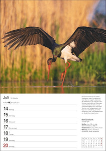 Heimische Vögel Wochenplaner 2025 - 53 Blatt mit Wochenchronik - Bild 11