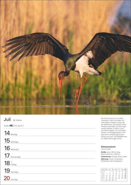 Heimische Vögel Wochenplaner 2025 - 53 Blatt mit Wochenchronik - Bild 11