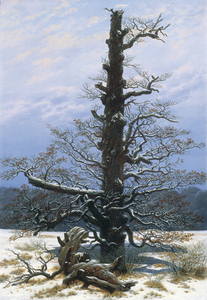 Caspar David Friedrich: Eichbaum im Schnee, 1829