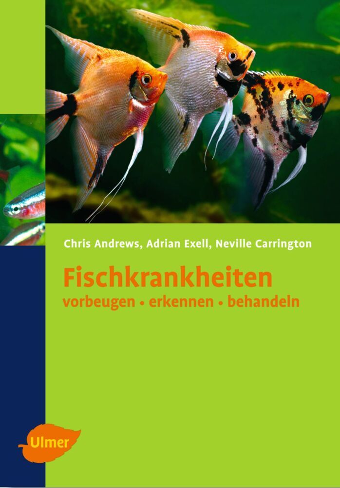 Fischkrankheiten - Bild 1