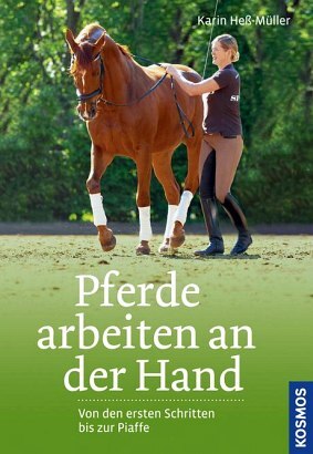 Pferde arbeiten an der Hand - Bild 1