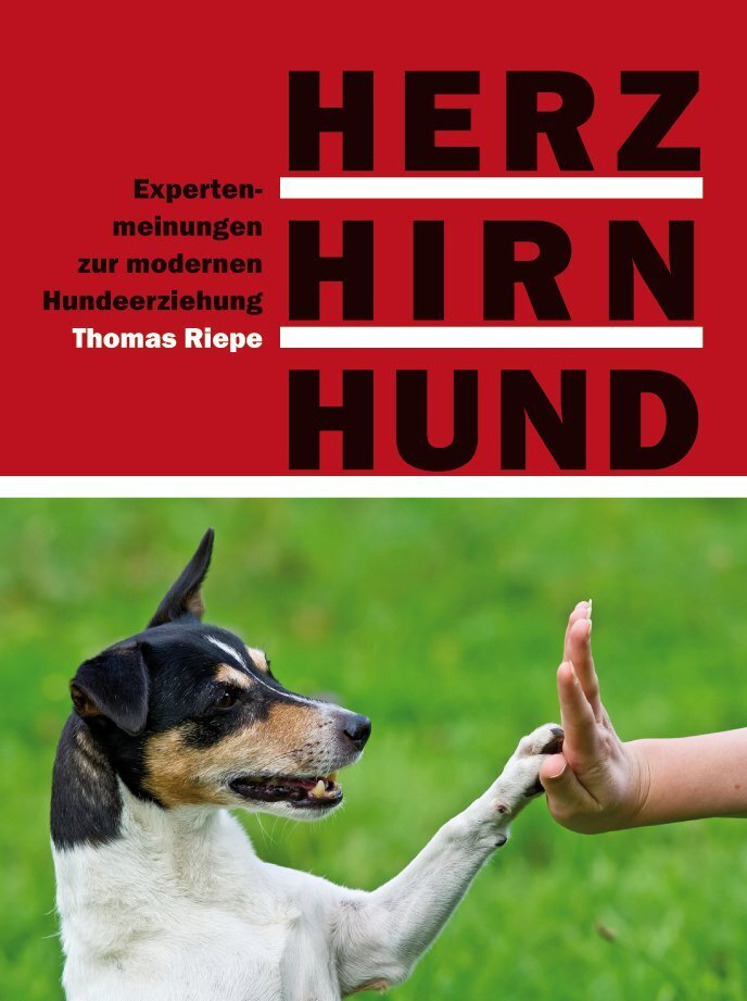 Herz, Hirn, Hund - Bild 1