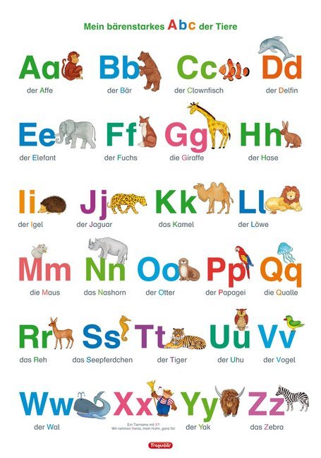 Fragenbär-Lernposter: Mein bärenstarkes Abc der Tiere (in der Schulbuch-Druckschrift) L 70 x 100 cm - Bild 1