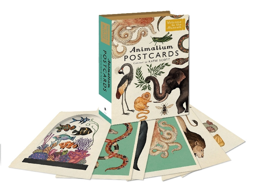 Animalium Postcards - Bild 1