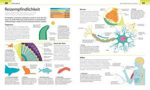 Biologie, Chemie, Physik für Eltern - Bild 5