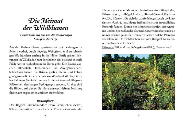 Das kleine Buch: Wildblumen auf Wiesen und Almen - Bild 2