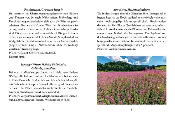 Das kleine Buch: Wildblumen auf Wiesen und Almen - Bild 3