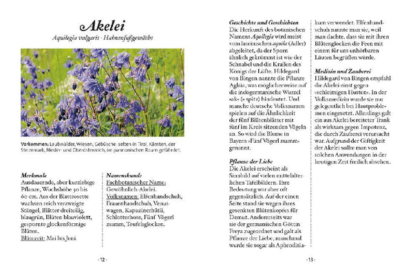 Das kleine Buch: Wildblumen auf Wiesen und Almen - Bild 4