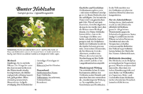 Das kleine Buch: Wildblumen auf Wiesen und Almen - Bild 5