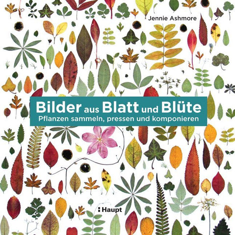 Bilder aus Blatt und Blüte - Bild 1