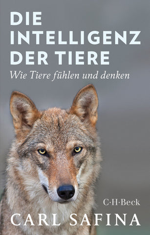 Die Intelligenz der Tiere - Bild 1